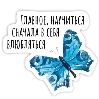 🦋