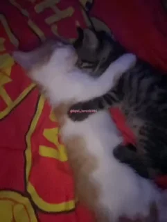 🥰