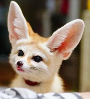 😋