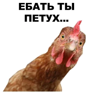 🤘