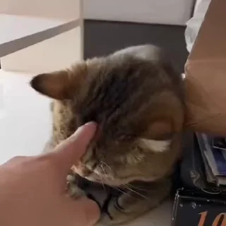 😴