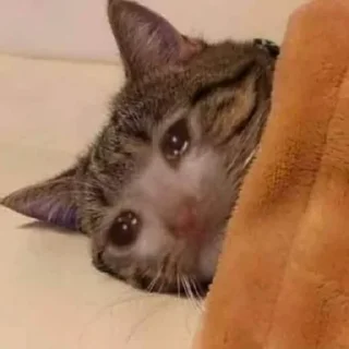 ☹