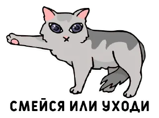 😹