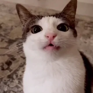 🙃