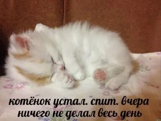 😥