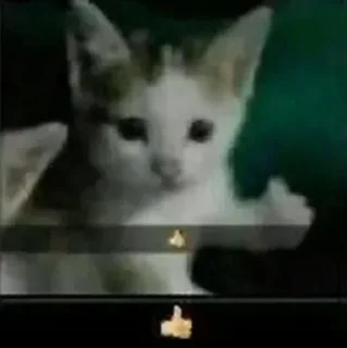 😺
