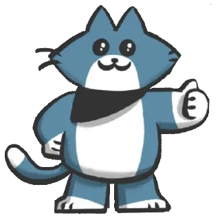 Bandit the cat