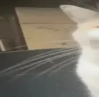 😛