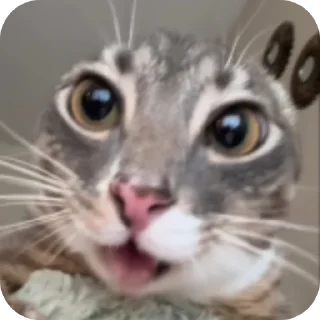 👍