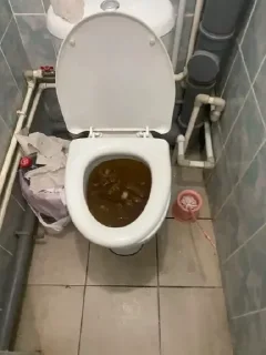 🍫