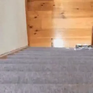 🏃‍♂️