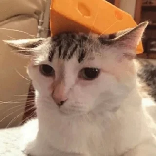 🧀