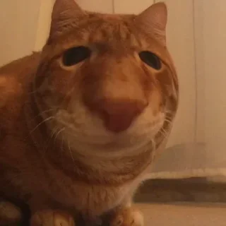 😐