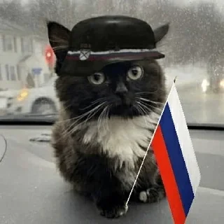 🇷🇺