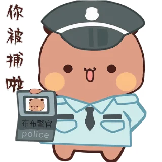 👮‍♂