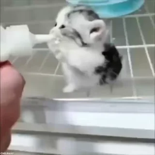 😍