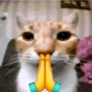🙏