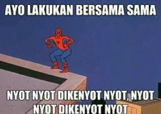 🕸