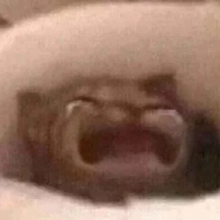 😭