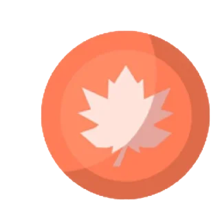 🍁