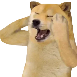 🫠