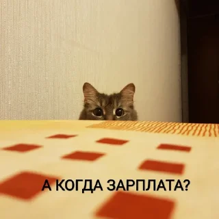 😶