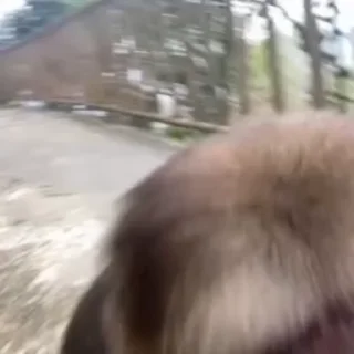 😅