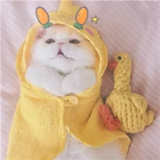 😍