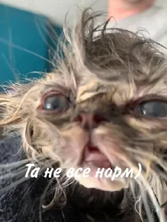 🤕