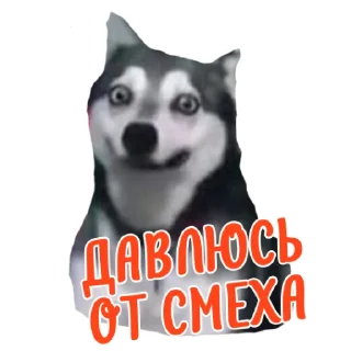 👍