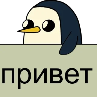Chatty @stickersb2b