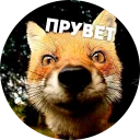 🦊 Мемные лисухи @lennysticker