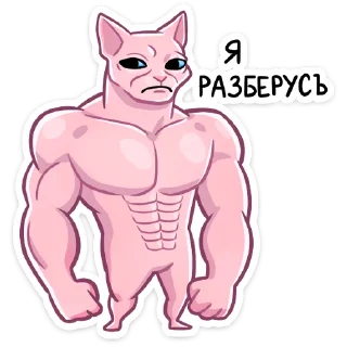 💪