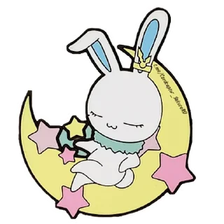 🌙