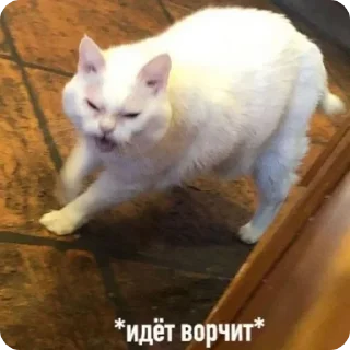 😡