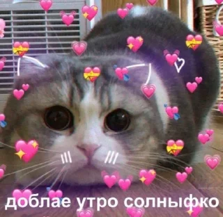 💖