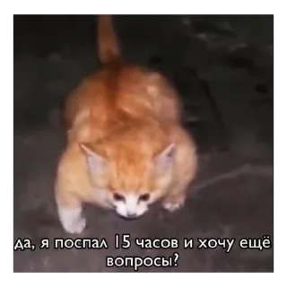 🔥