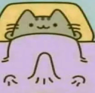 💤
