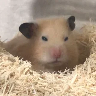 😣