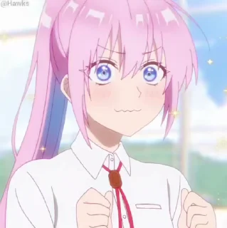 ✨