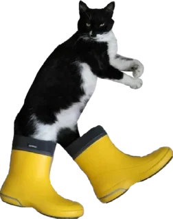 🌧