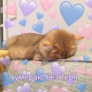 💙