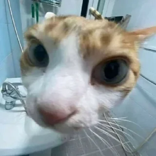 👀