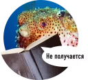 🐟