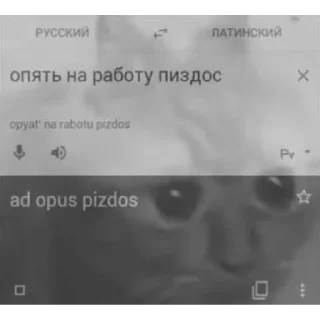 😳