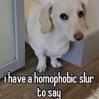 🏳️‍🌈