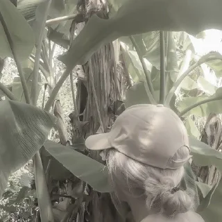 📗