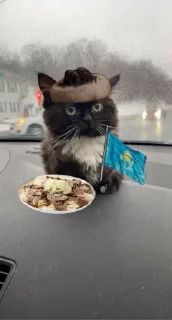 🇰🇿
