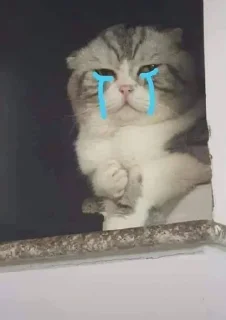 😭