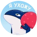 🦈